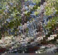 Mount Gray walking track - Gold Coast Attractions