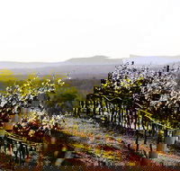 Mount View - Gold Coast Attractions