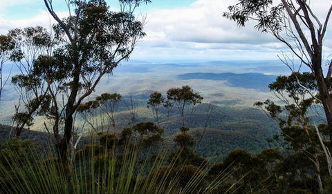 Mount Imlay National Park - Gold Coast Attractions 0