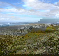 Mount Coolum National Park - Gold Coast Attractions