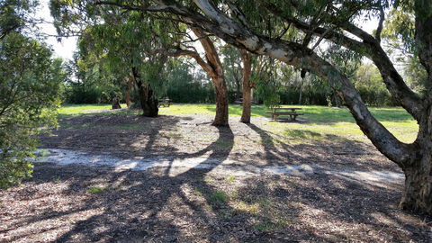 Mt Lindsay Rotary Park - Gold Coast Attractions 1