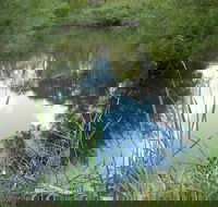 Mullion Range State Conservation Area - Gold Coast Attractions