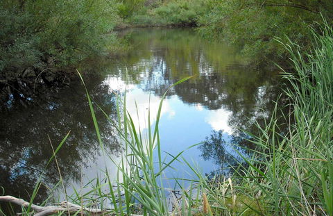 Mullion Range State Conservation Area - Gold Coast Attractions 0