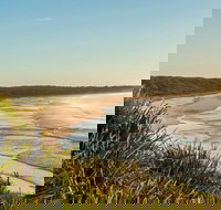 Narrawallee Creek Nature Reserve - Gold Coast Attractions