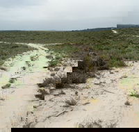Ngarkat Conservation Park - Gold Coast Attractions