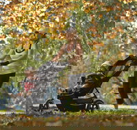 Noreuil Park - Gold Coast Attractions