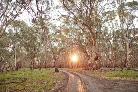 Nyah Vinifera Park - Gold Coast Attractions 1