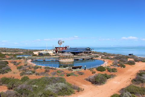 Ocean Park Aquarium - Gold Coast Attractions 1