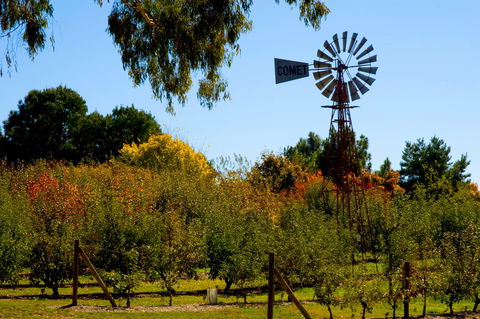 Orange Botanic Gardens - Gold Coast Attractions 2