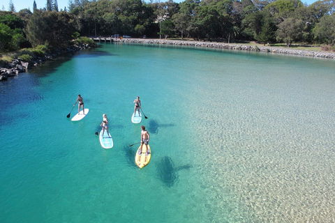 Paddleboard At Back Creek South West Rocks - Gold Coast Attractions 0