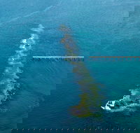 Port Noarlunga Reef Sanctuary Zone - Encounter Marine Park - Gold Coast Attractions