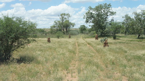 Powell Creek Telegraph Station - Gold Coast Attractions 2