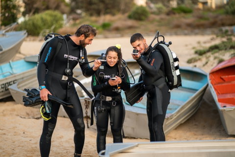 Pro Dive Coogee - Gold Coast Attractions 1