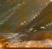 Raysource Road - Gold Coast Attractions