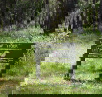 Ritchie's Hut - Gold Coast Attractions