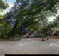 Samford Valley Rail Trail - Gold Coast Attractions