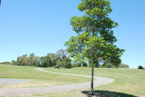 Samford Valley Rail Trail - Gold Coast Attractions 2