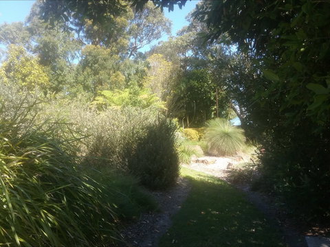 Shoalhaven Heads Native Botanic Garden - Gold Coast Attractions 2