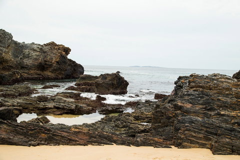 Snorkelling Mystery Bay - Gold Coast Attractions 1