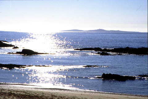 Snorkelling Mystery Bay - Gold Coast Attractions 2