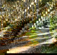 Square Head Track 2 - Gold Coast Attractions
