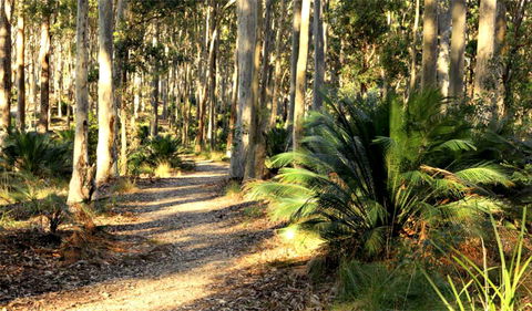 Square Head Track 2 - Gold Coast Attractions 0