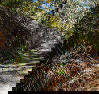 Starlights Trail - Gold Coast Attractions