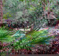 Sugar Creek Picnic Area - Gold Coast Attractions