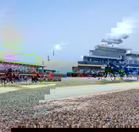 Tabcorp Park - Gold Coast Attractions