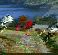 Tas-Saff - Gold Coast Attractions