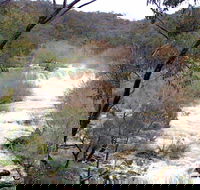 The Falls Water Falls - Gold Coast Attractions