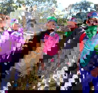 The Saddle Camp - Gold Coast Attractions