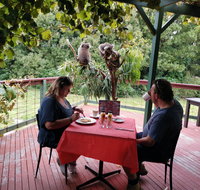 The Aussie Stop offering Breakfast with Koalas