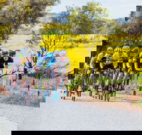 The Heron's Highway - Avon River Cycle Trail - Gold Coast Attractions