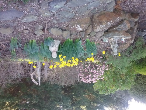 The Quiet Cone - Sound & Relaxation Centre - Gold Coast Attractions 2