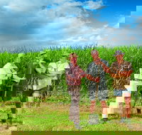 The Shed Gallery - Gold Coast Attractions