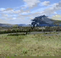 Thornton - Gold Coast Attractions