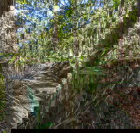 Thylogale Track - Gold Coast Attractions