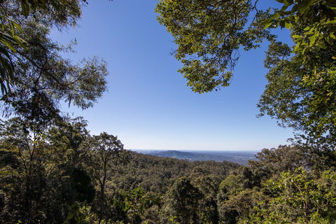 Thylogale Track - Gold Coast Attractions 2