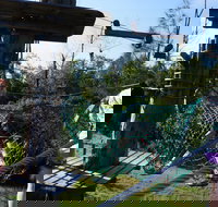 Trees Adventure - Lane Poole Park - Gold Coast Attractions