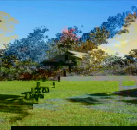 Tunks Hill picnic area - Gold Coast Attractions