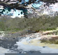 Walyunga National Park - Gold Coast Attractions