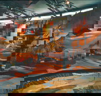 Warradjan Cultural Centre - Gold Coast Attractions