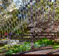 Armadale - Gold Coast Attractions