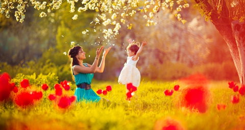 Auburn Botanic Gardens - Gold Coast Attractions 0