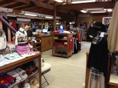 Australian Alpaca Barn - Pokolbin - Gold Coast Attractions 1