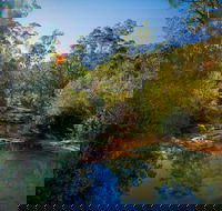 Bargo State Conservation Area - Gold Coast Attractions