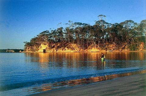 Batehaven - Gold Coast Attractions 1