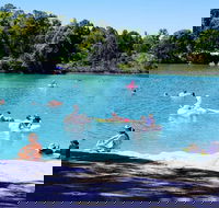 Black Diamond Lake - Gold Coast Attractions