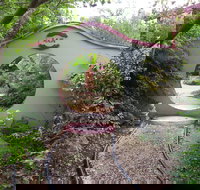 Black Dragon Gardens Wulong Yuan - Gold Coast Attractions